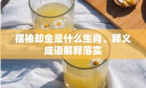 摆袖却金是什么生肖、释义成语解释落实