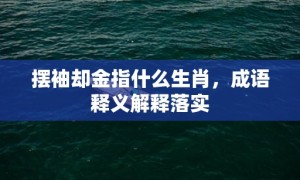 摆袖却金指什么生肖，成语释义解释落实