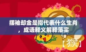 摆袖却金是指代表什么生肖，成语释义解释落实