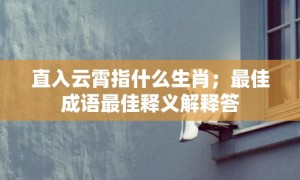 直入云霄指什么生肖；最佳成语最佳释义解释答