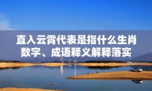 直入云霄代表是指什么生肖数字、成语释义解释落实