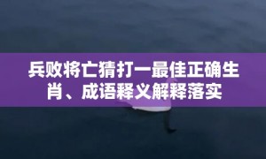 兵败将亡猜打一最佳正确生肖、成语释义解释落实