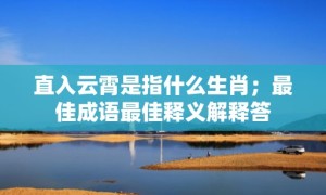 直入云霄是指什么生肖；最佳成语最佳释义解释答