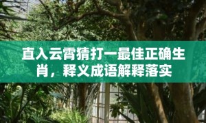 直入云霄猜打一最佳正确生肖，释义成语解释落实