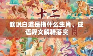 瞎说白道是指什么生肖、成语释义解释落实