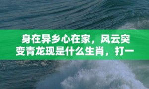 身在异乡心在家，风云突变青龙现是什么生肖，打一最佳生肖“最佳成语最佳释义解释答”