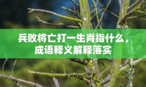 兵败将亡打一生肖指什么，成语释义解释落实