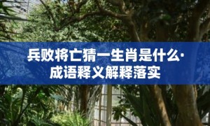 兵败将亡猜一生肖是什么·成语释义解释落实