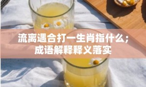 流离遇合打一生肖指什么；成语解释释义落实