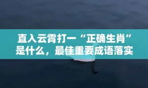 直入云霄打一“正确生肖”是什么，最佳重要成语落实分析