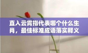 直入云霄指代表哪个什么生肖，最佳标准成语落实释义