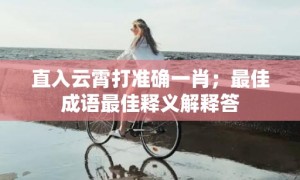 直入云霄打准确一肖；最佳成语最佳释义解释答