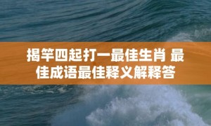 揭竿四起打一最佳生肖 最佳成语最佳释义解释答