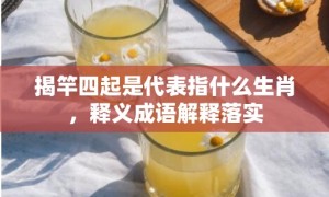 揭竿四起是代表指什么生肖，释义成语解释落实