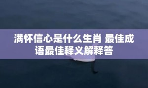 满怀信心是什么生肖 最佳成语最佳释义解释答