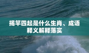 揭竿四起是什么生肖、成语释义解释落实