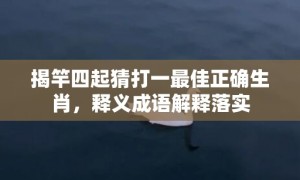 揭竿四起猜打一最佳正确生肖，释义成语解释落实