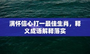 满怀信心打一最佳生肖，释义成语解释落实