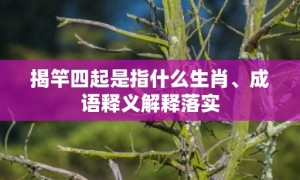 揭竿四起是指什么生肖、成语释义解释落实