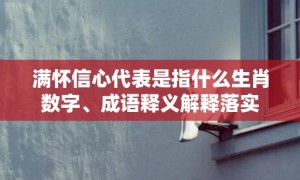 满怀信心代表是指什么生肖数字、成语释义解释落实