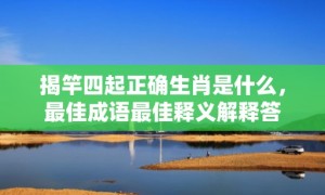 揭竿四起正确生肖是什么，最佳成语最佳释义解释答