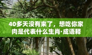 40多天没有来了，想吃你家肉是代表什么生肖·成语释义解释落实