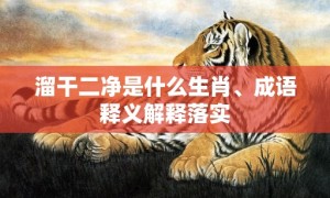 溜干二净是什么生肖、成语释义解释落实