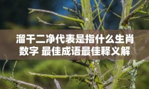 溜干二净代表是指什么生肖数字 最佳成语最佳释义解释答