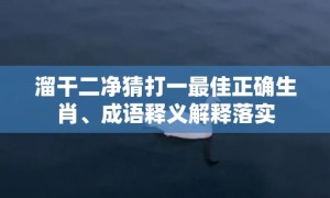 溜干二净猜打一最佳正确生肖、成语释义解释落实