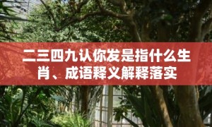 二三四九认你发是指什么生肖、成语释义解释落实