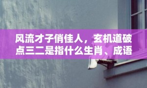 风流才子俏佳人，玄机道破点三二是指什么生肖、成语释义解释落实