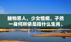 睹物思人，少女情痴，孑然一身何所依是指什么生肖、成语释义解释落实