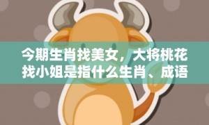 今期生肖找美女，大将桃花找小姐是指什么生肖、成语释义解释落实
