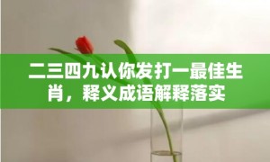 二三四九认你发打一最佳生肖，释义成语解释落实