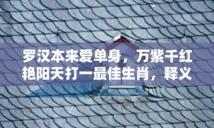 罗汉本来爱单身，万紫千红艳阳天打一最佳生肖，释义成语解释落实