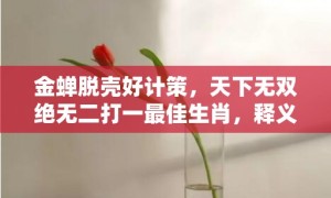 金蝉脱壳好计策，天下无双绝无二打一最佳生肖，释义成语解释落实