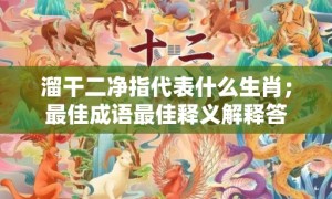 溜干二净指代表什么生肖；最佳成语最佳释义解释答