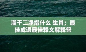 溜干二净指什么 生肖；最佳成语最佳释义解释答