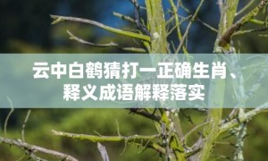 云中白鹤猜打一正确生肖、释义成语解释落实