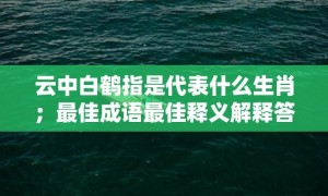 云中白鹤指是代表什么生肖；最佳成语最佳释义解释答