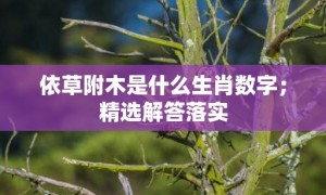 依草附木是什么生肖数字；精选解答落实