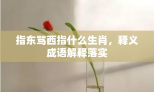 指东骂西指什么生肖，释义成语解释落实