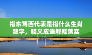 指东骂西代表是指什么生肖数字，释义成语解释落实