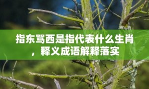 指东骂西是指代表什么生肖，释义成语解释落实