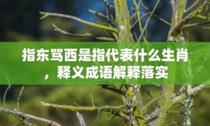 指东骂西是指代表什么生肖，释义成语解释落实