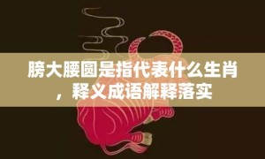 膀大腰圆是指代表什么生肖，释义成语解释落实