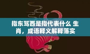 指东骂西是指代表什么 生肖，成语释义解释落实