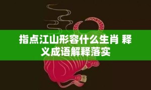 指点江山形容什么生肖 释义成语解释落实