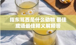 指东骂西是什么动物 最佳成语最佳释义解释答