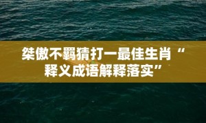 桀傲不羁猜打一最佳生肖“释义成语解释落实”